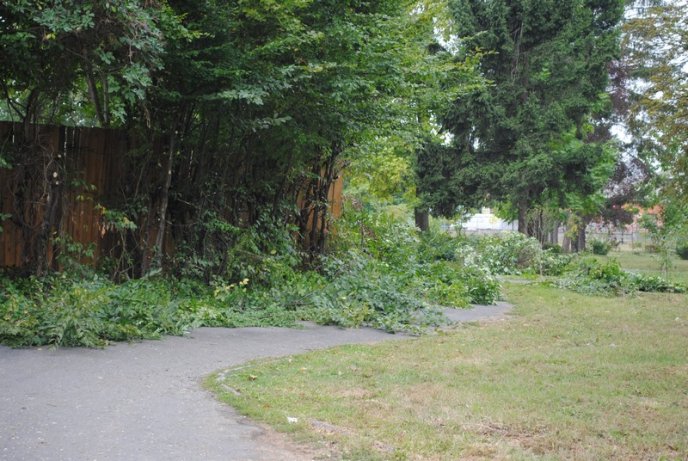 Мукачівці перетворили Комсомольський парк на сміттєзвалище (ФОТОРЕПОРТАЖ) – 08
