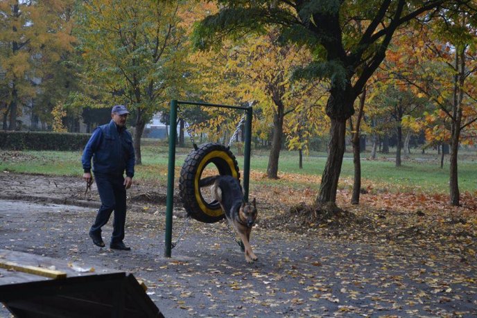У Мукачеві відбулося урочисте відкриття дресирувального парку для собак – 02
