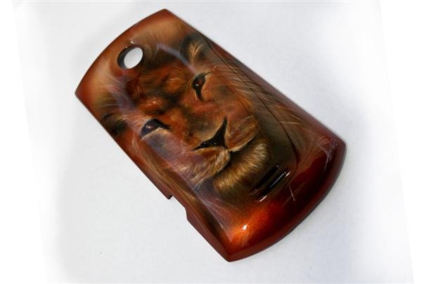 Мукачівець опанувавши мистецтво аерографії почав розмальовувати все підряд (ФОТО)  – 05