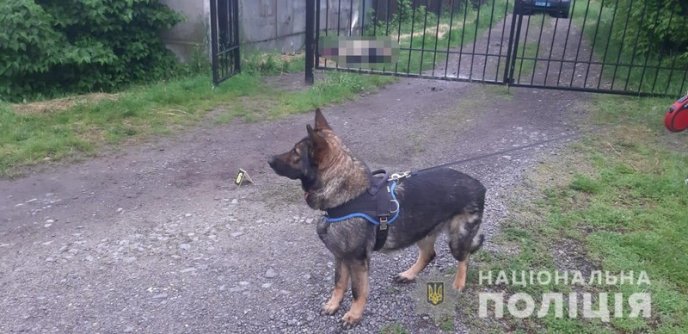 Сьогодні вночі вбили закарпатця – 03