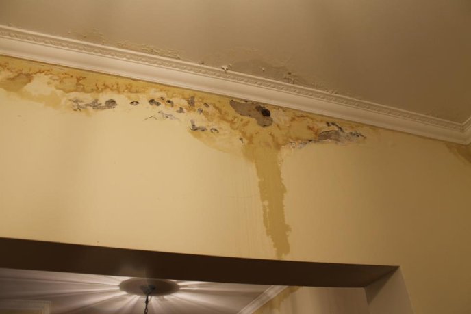 Мешканці мукачівської багатоповерхівки по вулиці Гойди кожну зливу зустрічають з тазиками та відрами (ФОТО)  – 14