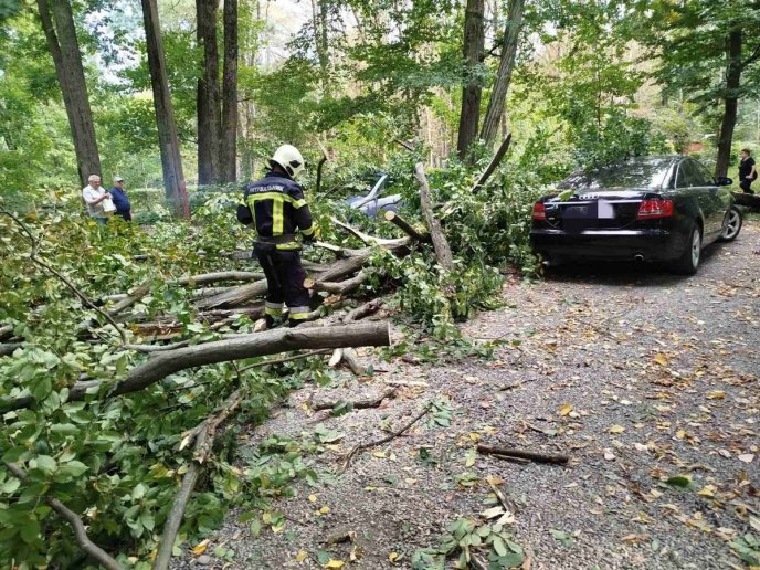 Повалені дерева і потрощені машини: негода наробила лиха в області – 05