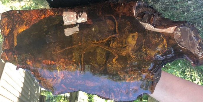 Нардеп Розенблат заявив, що передав музею на Закарпатті шмат бурштину з ящіркою всередині – 04