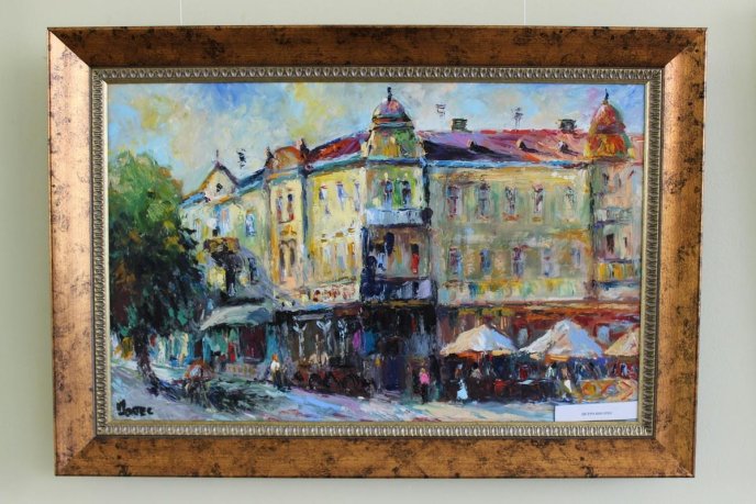 В обласному центрі показали "найправдивіший" пейзаж Ужгорода  – 11