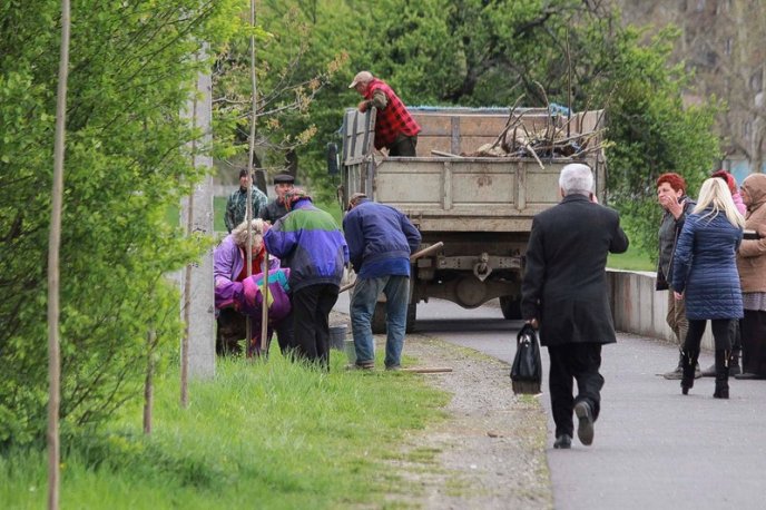 У Мукачеві на набережній висаджують екзотичні дерева – 03
