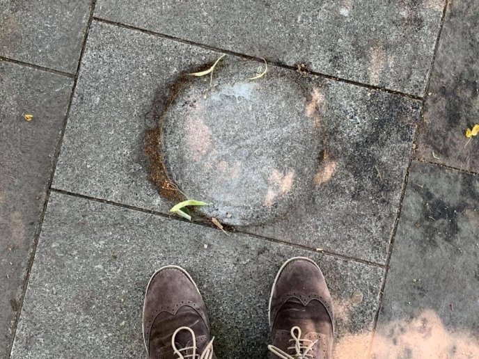 До приїзду Зеленського в Ужгороді прибрали сміття разом з урнами – 01