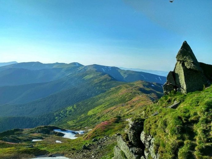 Гора Піп Іван вкрилася рожевим цвітом – 03