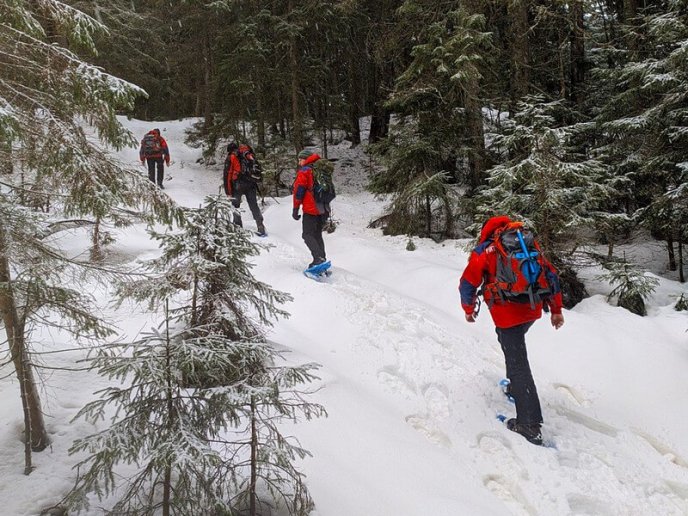 Рятувальники відшукали двох туристів, які заблукали в горах – 01