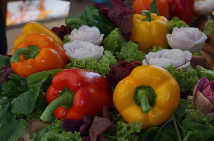 Гастрономічний рекорд Закарпаття встановили на фестивалі «Огинь і мнясо» – 05