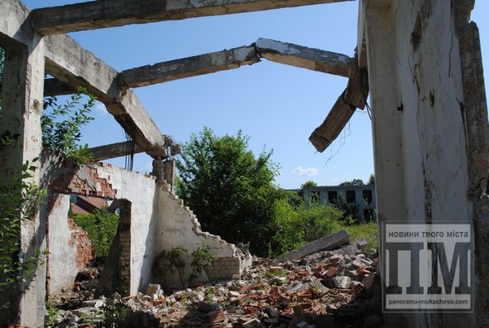 Маленька Прип’ять по сусідству зі школою та багатоквартирним масивом (ФОТО) – 18