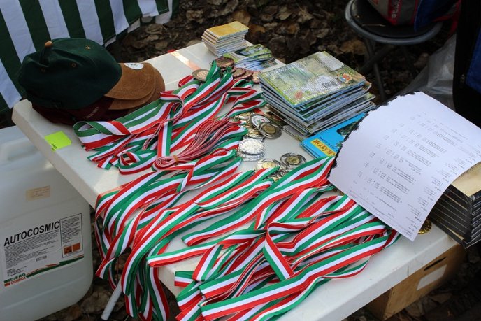 Чергові змагання – і знову нагороди: мукачівські орієнтувальники не перестають тішити (ФОТО) – 13