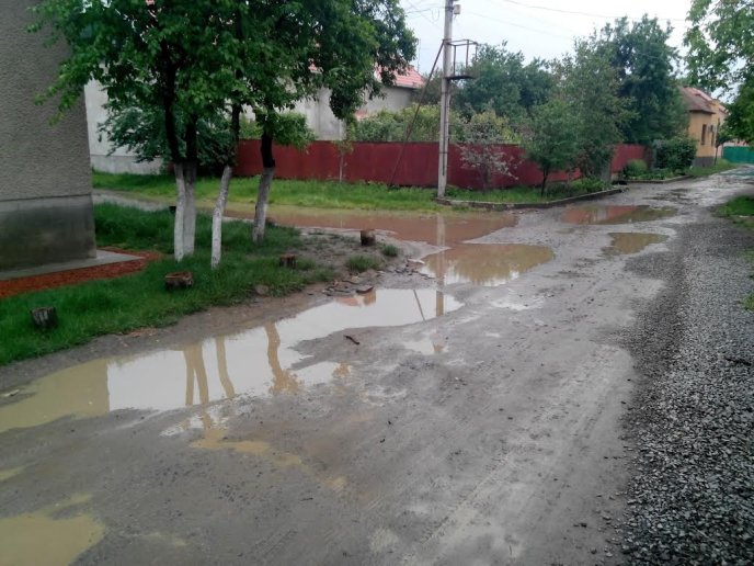 У Росвигові в районі місцевого ринку автомобілі практично тонуть у болоті, а пройти пішоходам неможливо (ФОТО) – 10