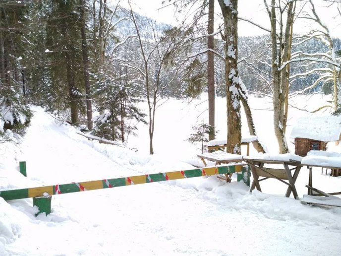 На Синевирі спорудили будиночок для героя останнього фільму Жана Рено  – 05