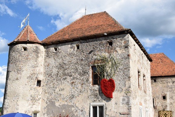 У Чинадієві відбувся фестиваль квітів "Кохання в Сент-Міклоші" – 02