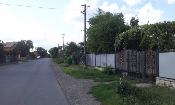 На Закарпатті блогер знайшов двір, у якому вирощують бамбук – 01