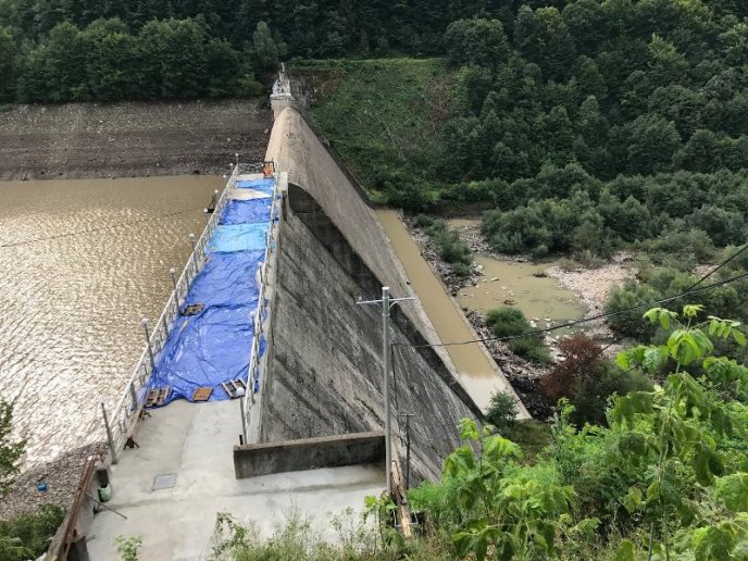 Пустеля серед лісу: як виглядає осушене Вільшанське водосховище – 02