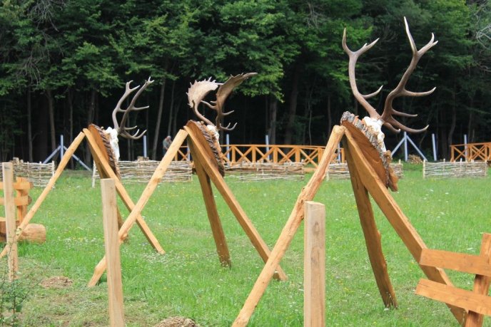 Виноградівщина готується до святкування "Дня мисливця": деталі приготування та що заплановано – 03