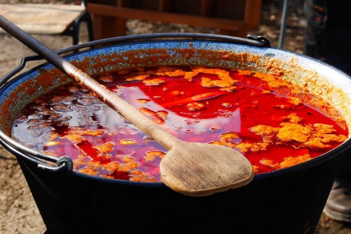 В Ужгороді розпочався триденний "Медовуха Фест" – 15