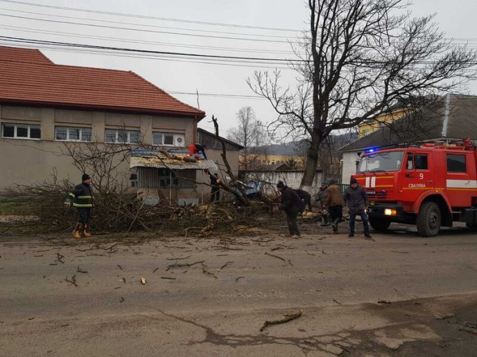 Через сильні пориви вітру дерево впало на торговельний ларьок – 04
