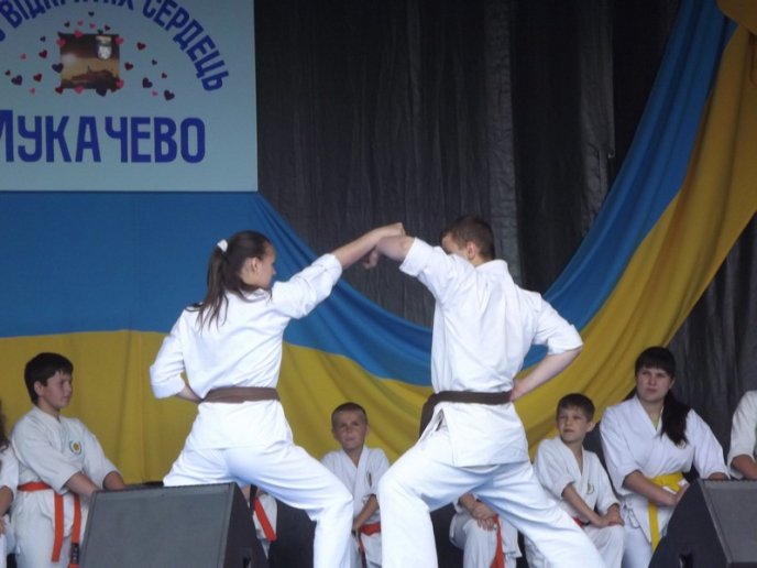 У Мукачеві до святкування Днів міста пройшли показові виступи спортивних клубів (ФОТО) – 08