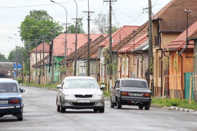 У Мукачеві висадили липову алею – 08