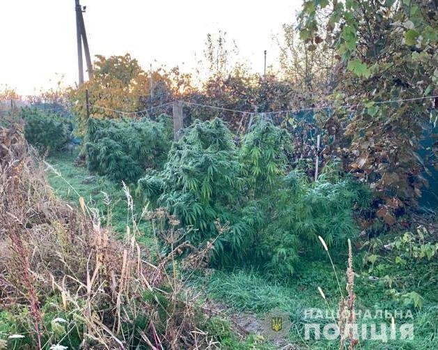 Обшук у закарпатському селі: поліцейські показали відео – 06