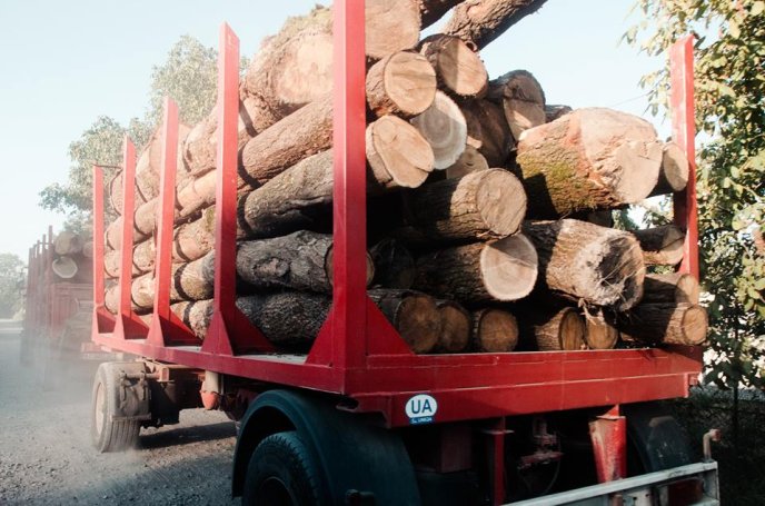 Співачка Руслана назвала вирубку лісів у Карпатах "варварською" – 07