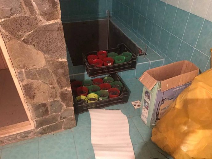 Обшуки у Виноградівському відділенні поліції тривають. Затримано правоохоронця, який "прикривав" наркобізнес – 08 Обшуки у Виноградівському відділенні поліції тривають. Затримано правоохоронця, який "прикривав" наркобізнес – 08