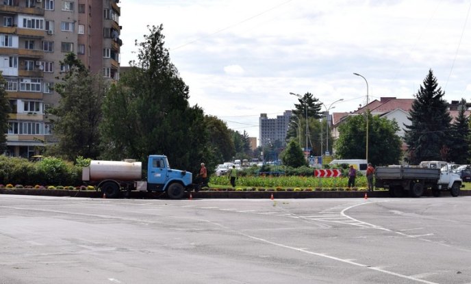 В Ужгороді висаджують перші осінні квіти – 02 В Ужгороді висаджують перші осінні квіти – 02
