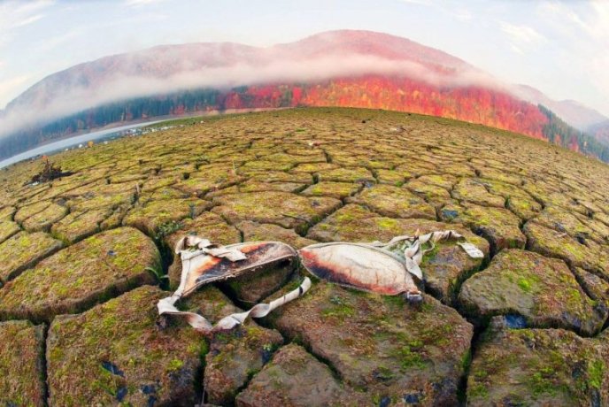 Купи сміття на Закарпатті: в мережі опублікували фото засмічених пейзажів – 03