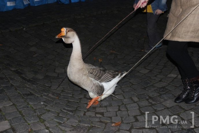 Мукачівці урочисто відсвяткували День святого Мартина – 06