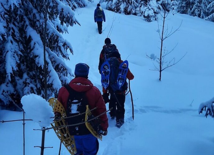Знайшли сліди: у горах продовжують шукати лижника, який заблукав – 01 Знайшли сліди: у горах продовжують шукати лижника, який заблукав – 01