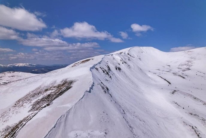 В мережі опублікували фото засніжених крокусів – 07 В мережі опублікували фото засніжених крокусів – 07