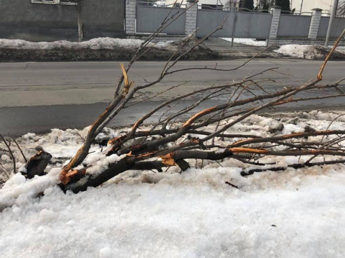 Мажор на "Range Rover" скоїв аварію у місті і втік – 04