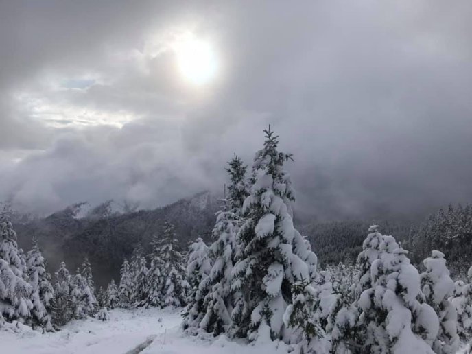 Синевир замело снігом, — соцмережі – 05