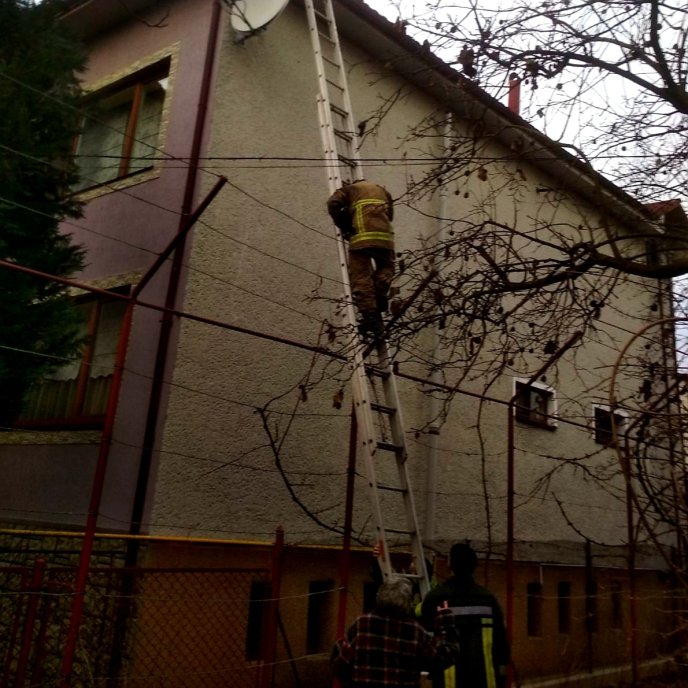 Як рятувальники коту допомагали – 02