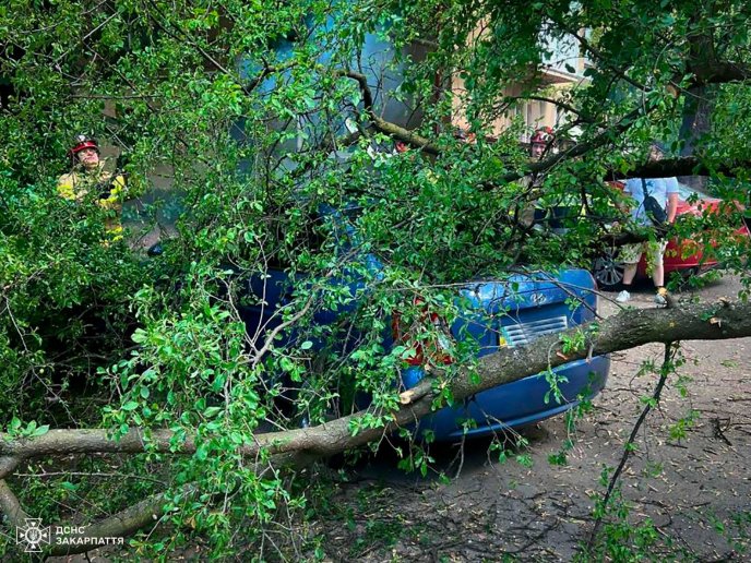 Одне дерево впало на автомобіль, а інше перекрило дорогу — подробиці від рятувальників – 03 Одне дерево впало на автомобіль, а інше перекрило дорогу — подробиці від рятувальників – 03