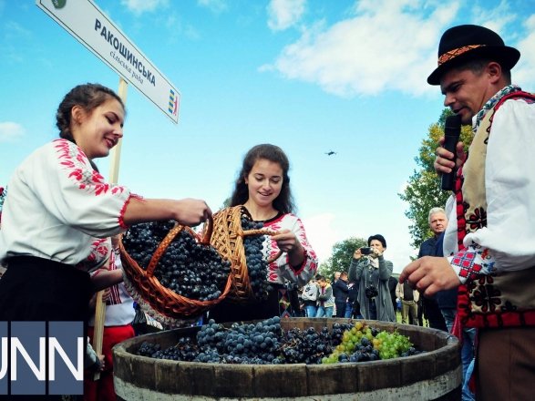 Як на Мукачівщині фестиваль вина проходить – 08