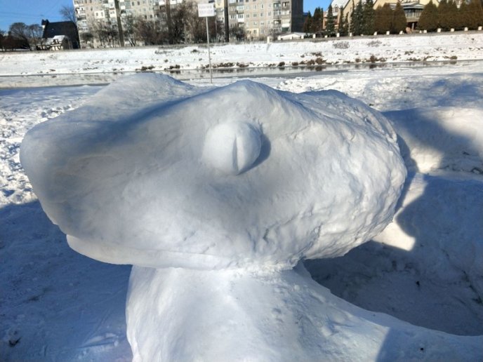 У Мукачеві зліпили зі снігу 32-метрову змію – 02 У Мукачеві зліпили зі снігу 32-метрову змію – 02