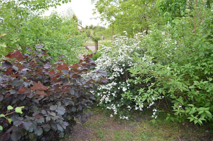 У Мукачеві можливо з’являться еко-дитсадки європейського типу – 22