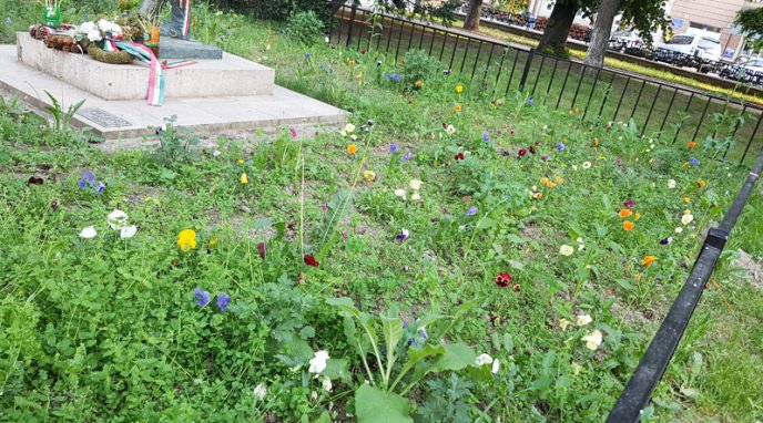 Пам’ятник, що є окрасою Ужгорода, заріс бур’яном – 02