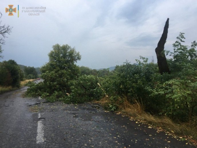 Повалені дерева і знеструмлені села: рятувальники показали наслідки негоди – 04