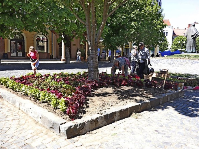 Площа Кирила і Мефодія невдовзі стане яскравішою / фото: Мукачівська міська рада
