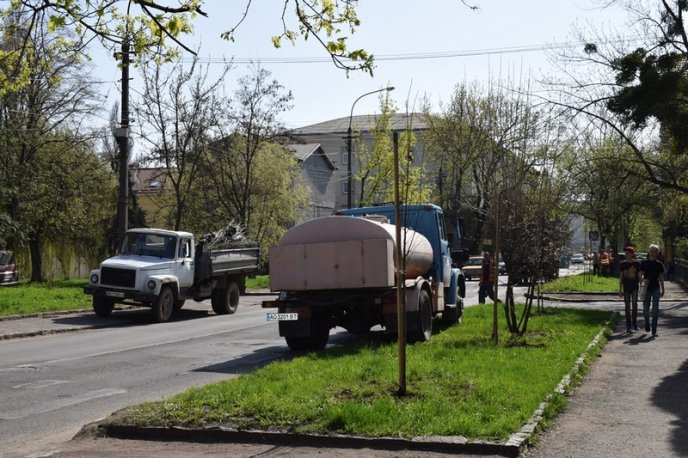 В Ужгороді висадили ще майже 200 дерев – 02