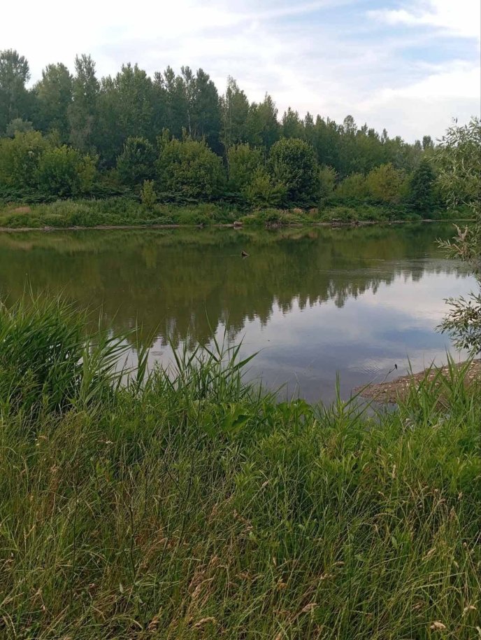 На Закарпатті течія річки віднесла 4 дітей. Трьох врятовано, ще одну дитину шукають – 01