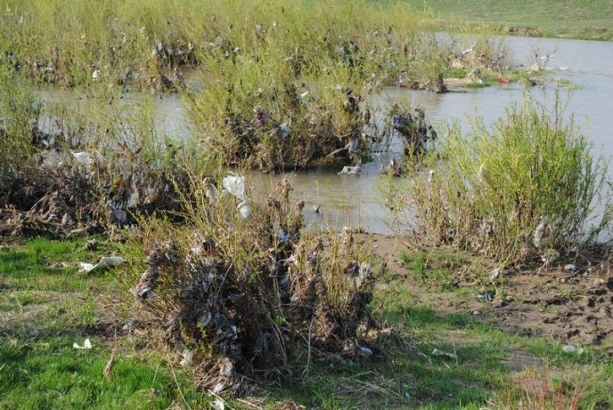 Толока в Мукачеві крізь об’єктив нашого кореспондента (ФОТОРЕПОРТАЖ) – 18