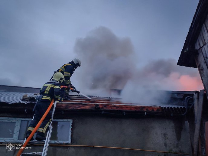 На Виноградівщині сталася масштабна пожежа. Її гасили 62 рятувальники – 03
