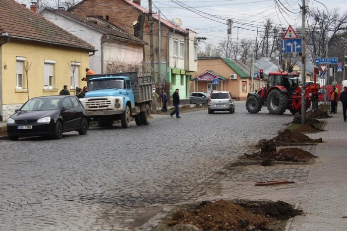У Мукачеві висаджують кленову алею – 06