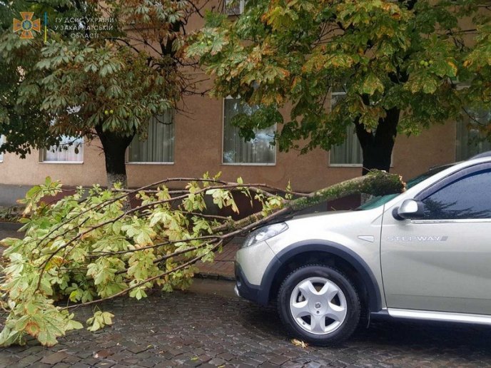 Повалені дерева і знеструмлені села: рятувальники показали наслідки негоди – 03