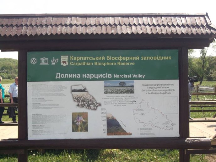 На Хустщині відкрили оновлену дорогу, яка веде до Долини нарцисів – 12